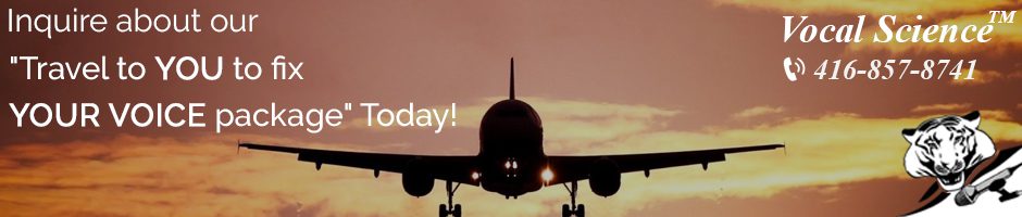 We Fly To You